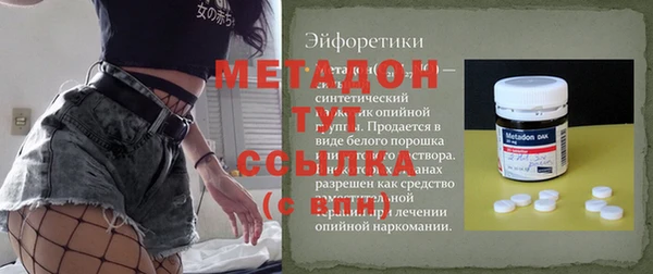 гидра Инта