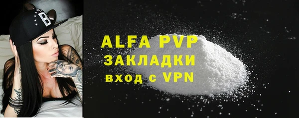 гидра Инта