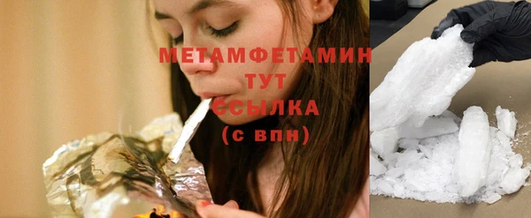 гидра Инта