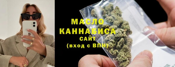 гидра Инта
