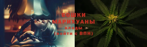 гидра Инта