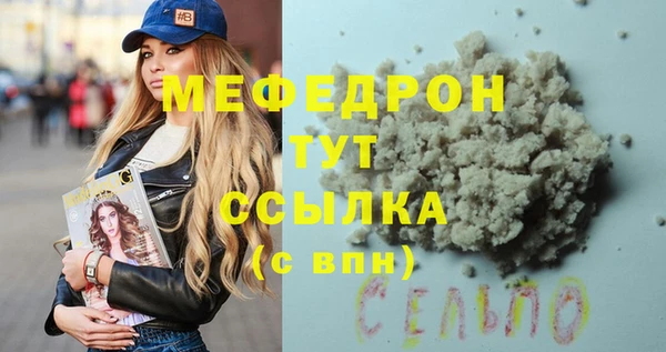 гидра Инта