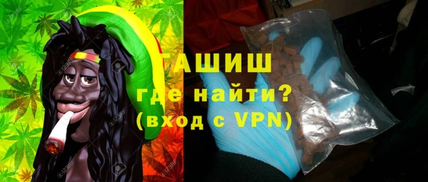 гидра Инта