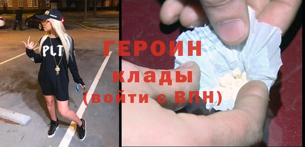 гидра Инта